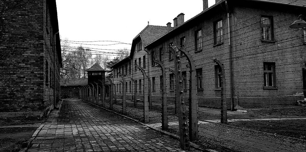 camp Auschwitz barbelés.jpg